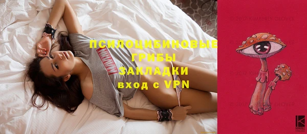 крисы Корсаков