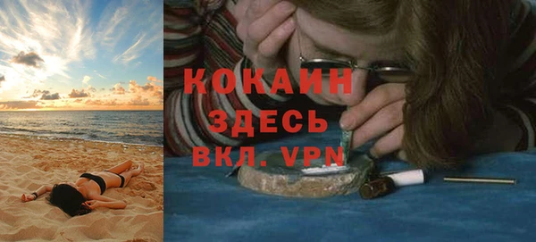 крисы Корсаков