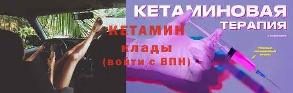 крисы Корсаков