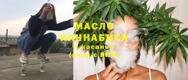 крисы Корсаков
