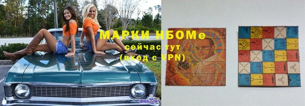 крисы Корсаков