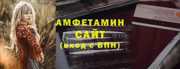 крисы Корсаков