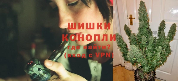 крисы Корсаков