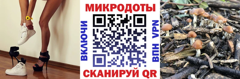 Купить  Остров  Галлюциногенные грибы мухоморы 